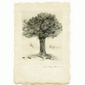 Juniper Tree II - Limited Edition Print