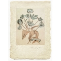 Tulips - Limited Edition Print