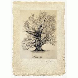 Winter Tree - Limited Edition Print