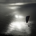 Paraglider Silhouette over the Sea