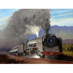 Steam Train 9