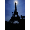 Eiffel Tower Backlit Bronze Horse