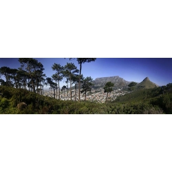 Table Mountain with Trees Pano