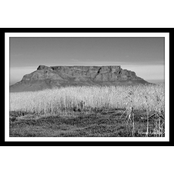 Table Mountain 2