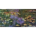 Water Lilies 7