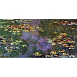 Water Lilies 7