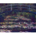 Water Lily Pond 4