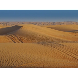 Arabian Desert