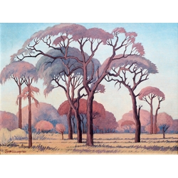 Lowveld Landscape with Acacia Trees