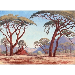 Bushveld Autumn Landscape with Acacia Trees
