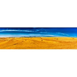 Two Tone Wheat Panoramic
