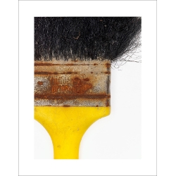 Yellow Brush