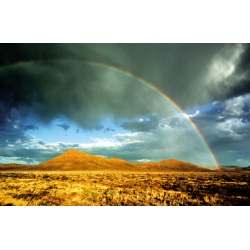Karoo Rainbow