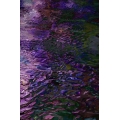Reflections of Giverny 3