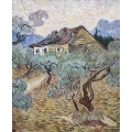 The White Cottage in the Olive Trees