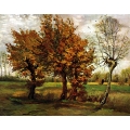 Autumn Landscape With Four Trees