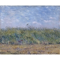 Wheat Field with Partridge