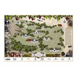 Constantia Souvenir Wine Map