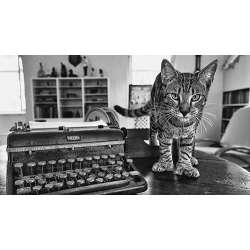 Hemingway's Cat black and white