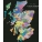 Scottish Clans