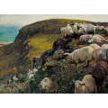 Our English Coasts, 1852 ('Strayed Sheep')
