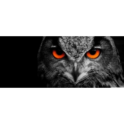 owl eye wallpaper 3840x1600 