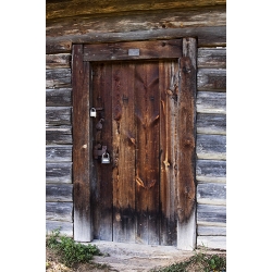 Door 31
