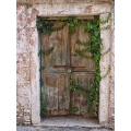 Old Door 7
